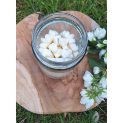 Świeca Sojowa w szklanej formie – Bez – akcandle