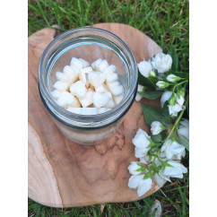 Świeca Sojowa w szklanej formie – Bez – akcandle