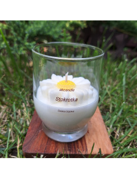 Świeca Sojowa w szklanej formie – Stokrotka – akcandle