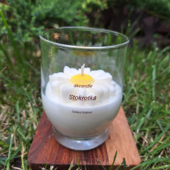 Świeca Sojowa w szklanej formie – Stokrotka – akcandle