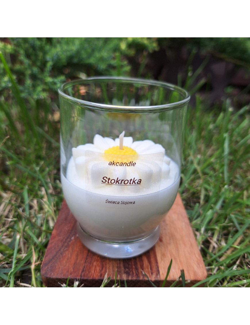 Świeca Sojowa w szklanej formie – Stokrotka – akcandle
