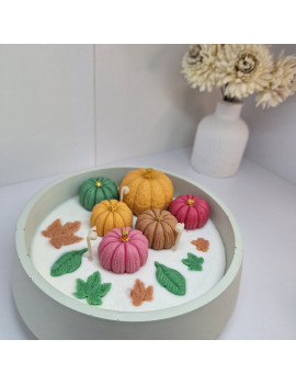 Świeca Sojowa w gipsowej formie – Dynie w Misie – akcandle