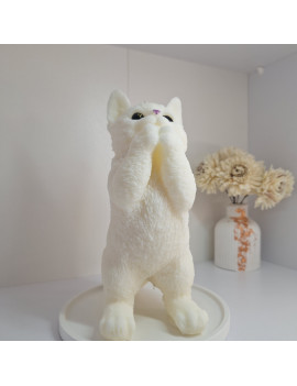 Świeca Sojowa Wolnostojąca – Kot XXL – akcandle