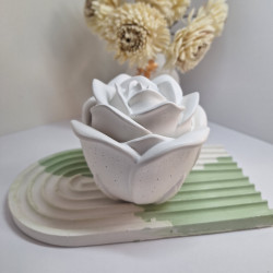 Świeca Sojowa w gipsowej formie – Świeca w Gipsowej Róży – akcandle