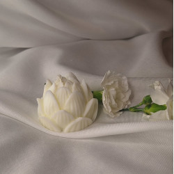 Świeca Sojowa Wolnostojąca – Lotos – akcandle