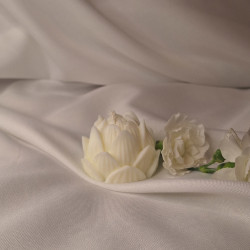 Świeca Sojowa Wolnostojąca – Lotos – akcandle