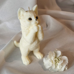 Świeca Sojowa Wolnostojąca – Kot – akcandle