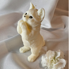 Świeca Sojowa Wolnostojąca – Kot – akcandle