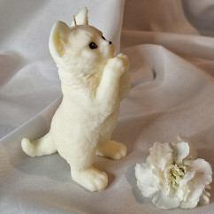 Świeca Sojowa Wolnostojąca – Kot – akcandle