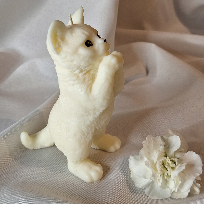 Świeca Sojowa Wolnostojąca – Kot – akcandle