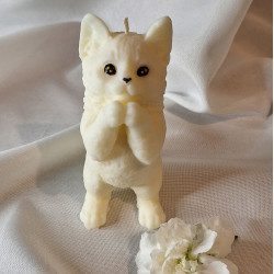 Świeca Sojowa Wolnostojąca – Kot – akcandle