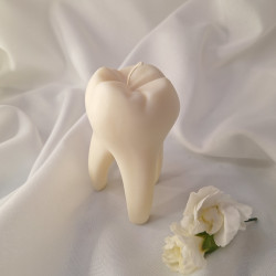 Świeca Sojowa Wolnostojąca – Ząbek – akcandle