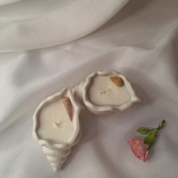 Świeca Sojowa w gipsowej formie – Muszle Gipsowe – akcandle