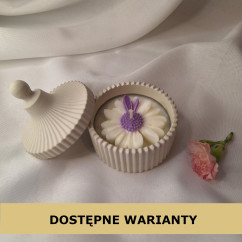 Świeca Sojowa w gipsowej formie – Stokrotka w Gipsie II – akcandle