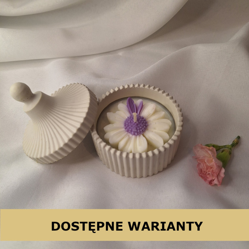 Świeca Sojowa w gipsowej formie – Stokrotka w Gipsie II – akcandle