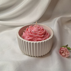 Świeca Sojowa w gipsowej formie – Piwonia w Gipsie IV – akcandle