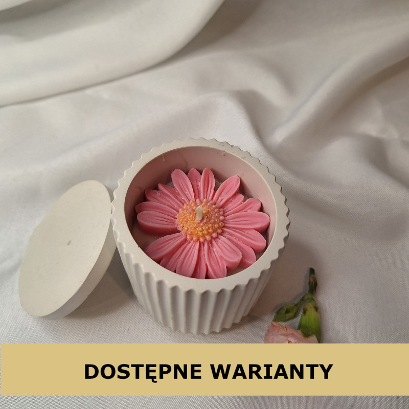 Świeca Sojowa w gipsowej formie – Stokrotka w Gipsie VI – akcandle