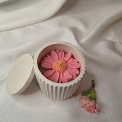 Świeca Sojowa w gipsowej formie – Stokrotka w Gipsie VI – akcandle