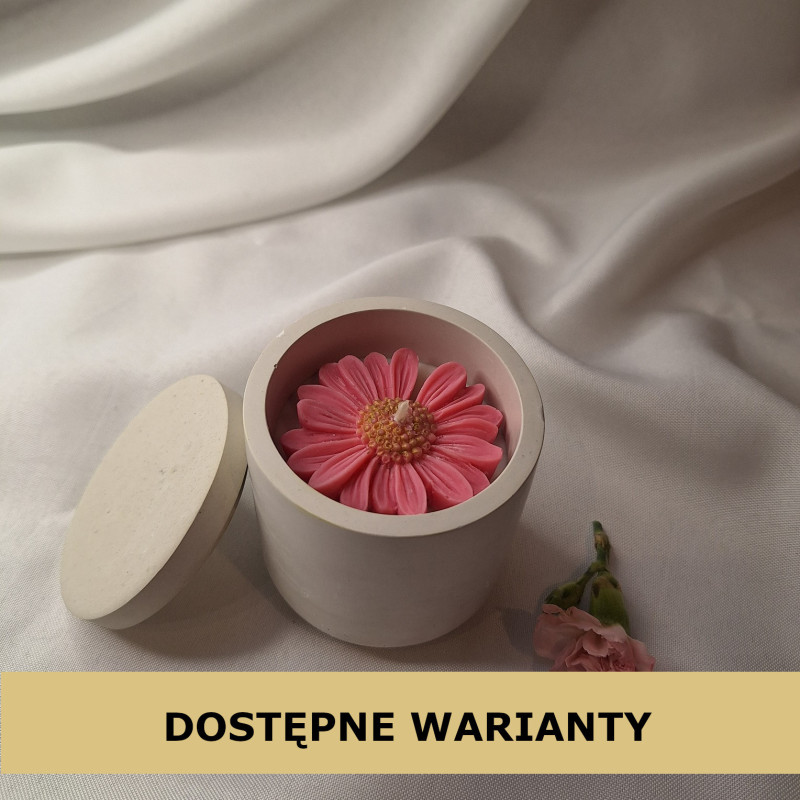 Świeca Sojowa w gipsowej formie – Stokrotka w Gipsie VII – akcandle