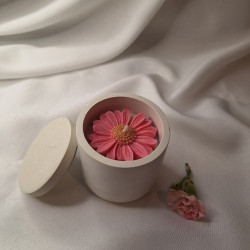 Świeca Sojowa w gipsowej formie – Stokrotka w Gipsie VII – akcandle