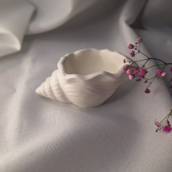 Galanteria gipsowa – Muszelka S – akcandle