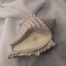 Świeca Sojowa w gipsowej formie – Muszla L – akcandle