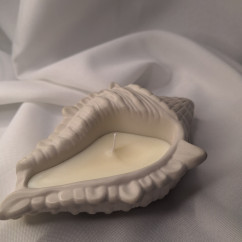 Świeca Sojowa w gipsowej formie – Muszla L – akcandle