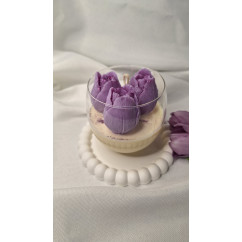 Świeca Sojowa w szklanej formie – Tulipan I – akcandle