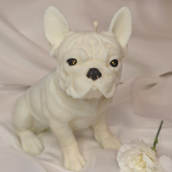 Świeca sojowa Świeca wolnostojąca – Buldog – akcandle